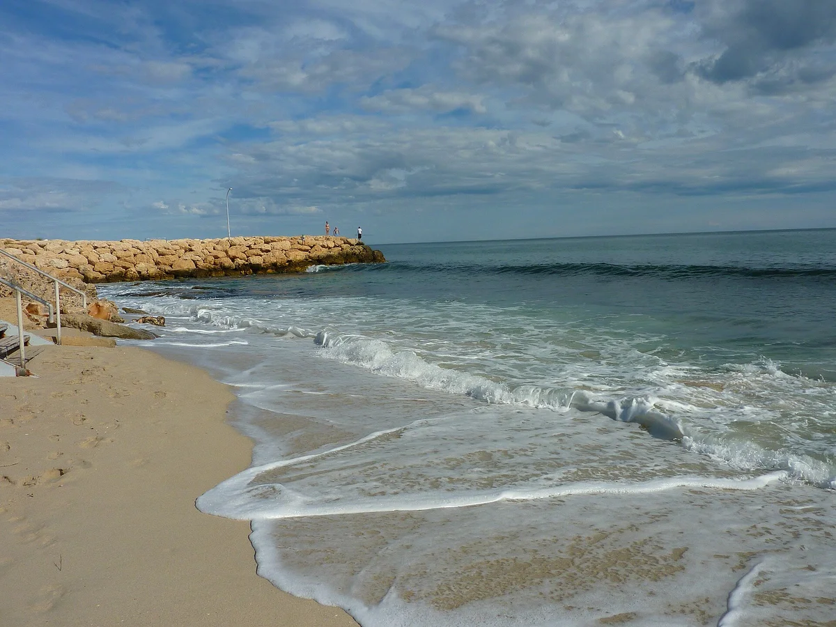 Sorrento Beach closed after a suspected shark attack, with one swimmer still missing