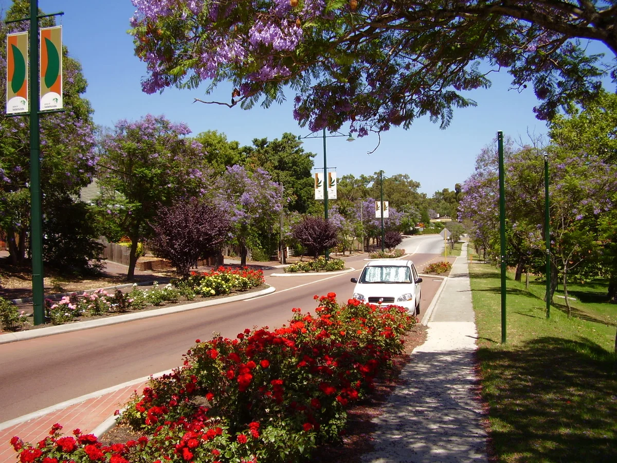 Kalamunda Road lined with jacaranda trees and flower beds