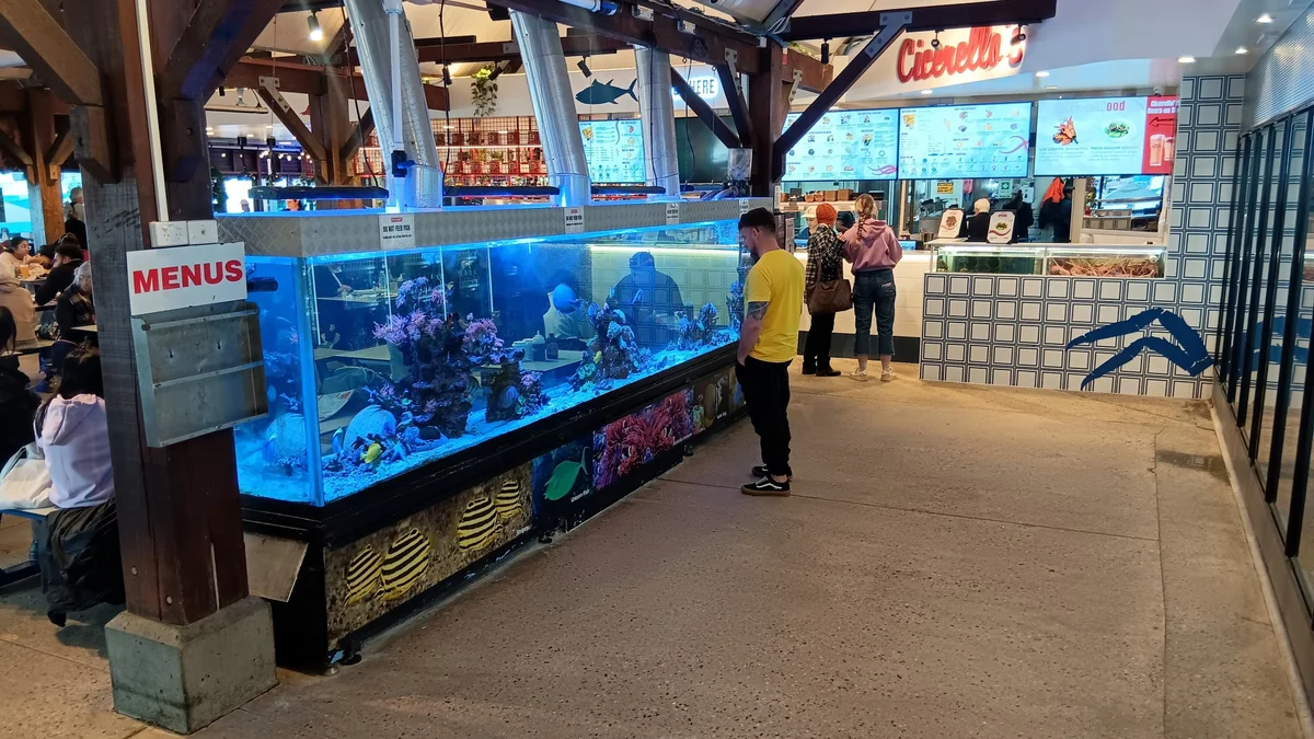 A long aquarium tank inside Cicerello's Fremantle, next to the menu stand