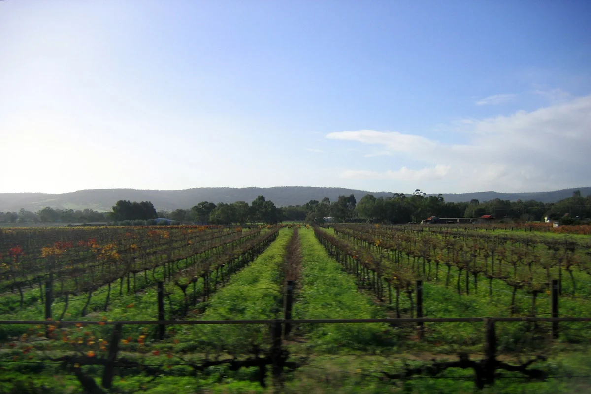 The Swan Valley trail: eat and drink your way around Australia's oldest wine region outside NSW